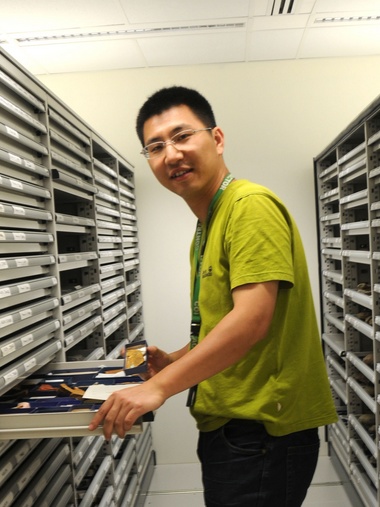 开云手机在线官网,开云(中国)创新论坛第一千八百零一讲：虫鸣凤舞伴花香：现代陆地生态系统的起源
